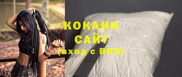 винт Верея