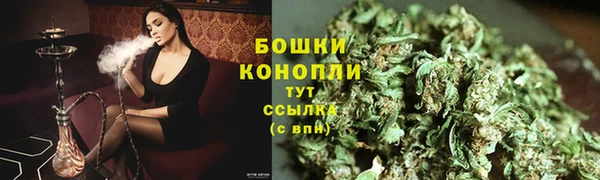 винт Верея
