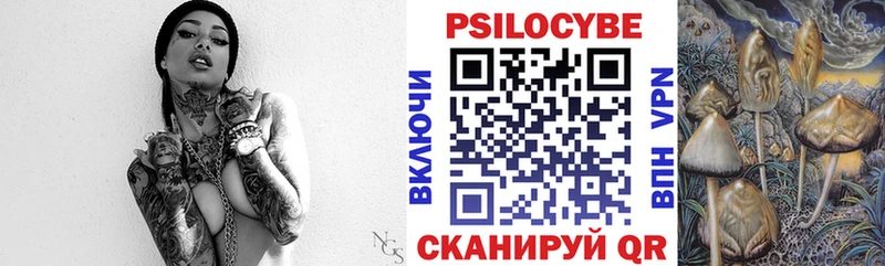 мега рабочий сайт  купить наркоту  площадка формула  Псилоцибиновые грибы Psilocybe  Вытегра 